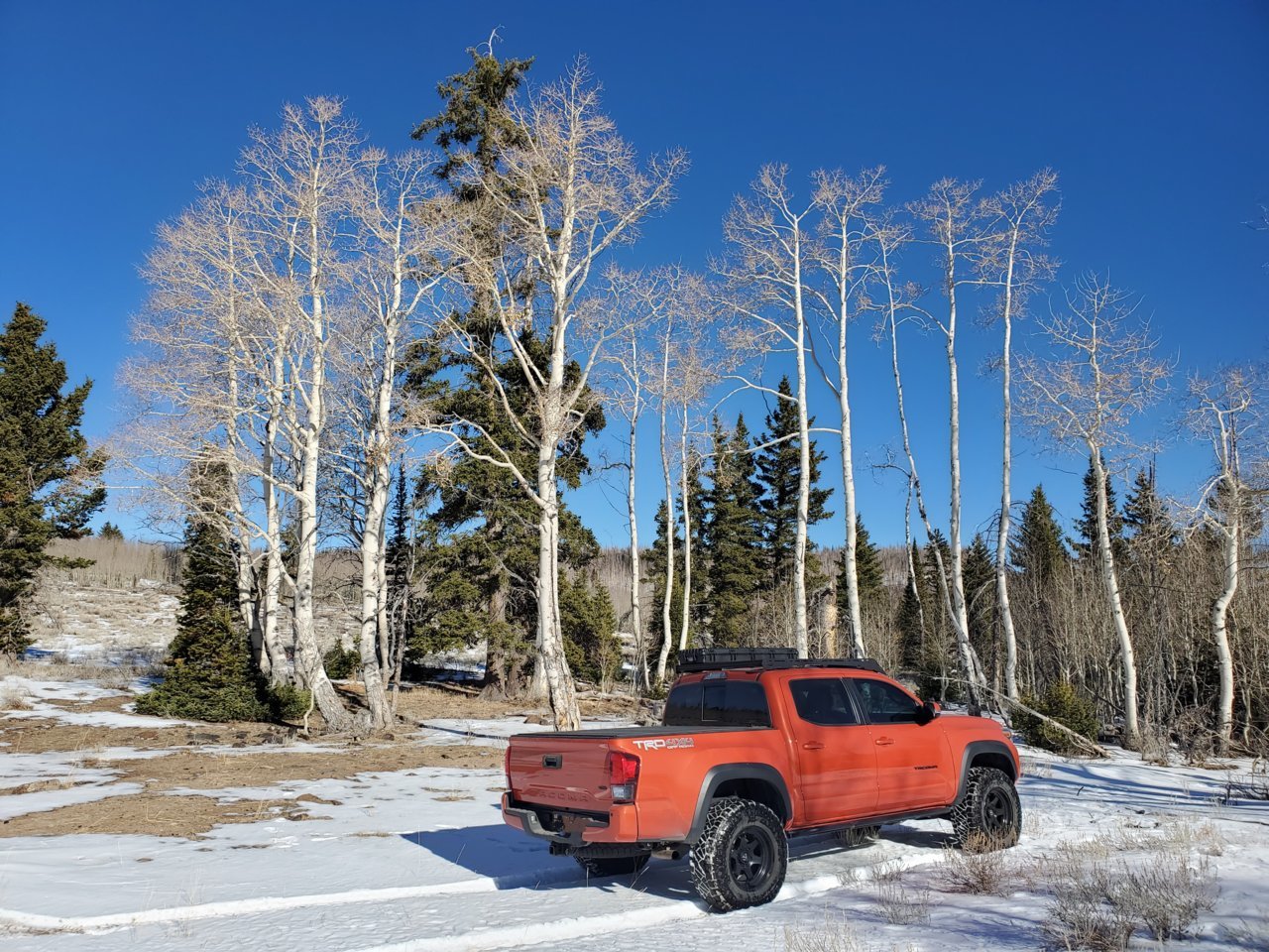20201225_134745.jpg