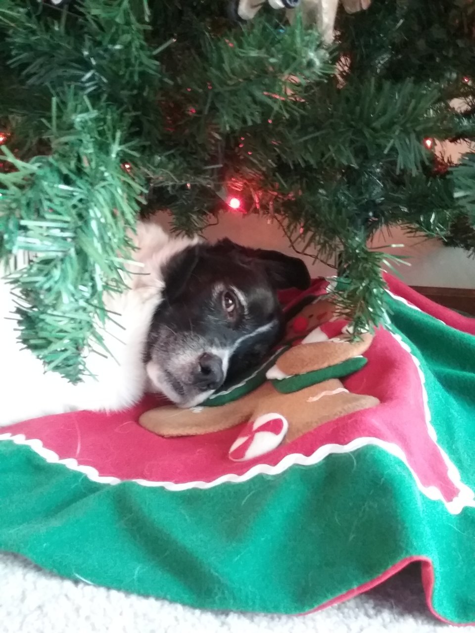 20201225_160131.jpg