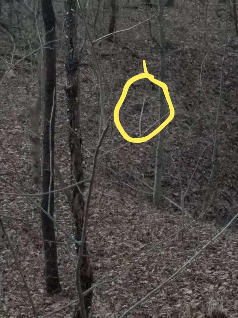 20201225_190613.jpg