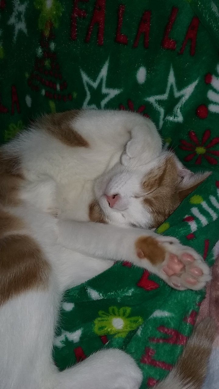 20201225_231027.jpg