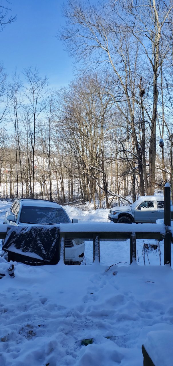 20201226_111155.jpg
