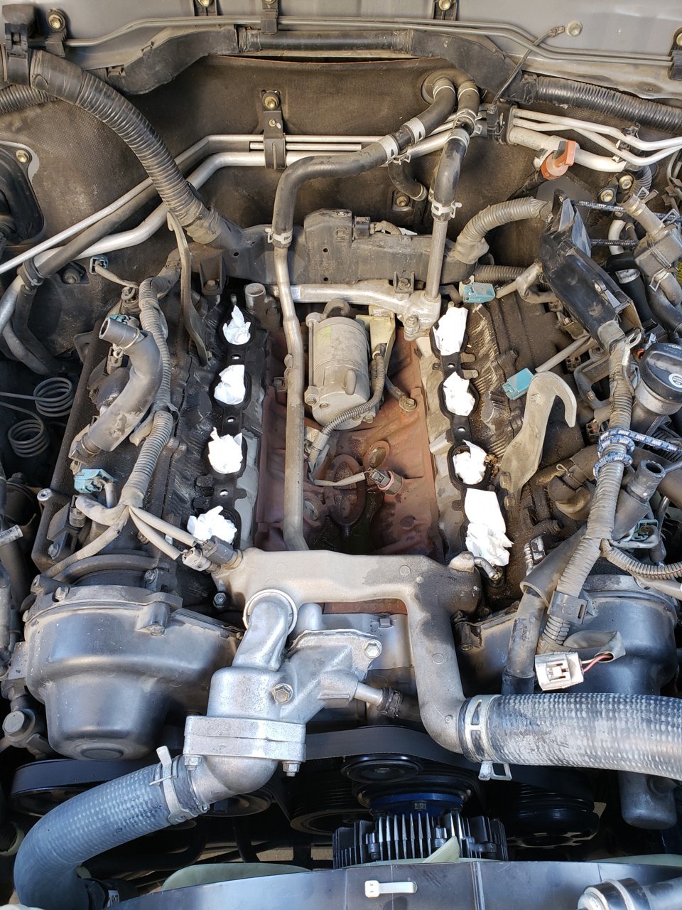 20201226_135611.jpg