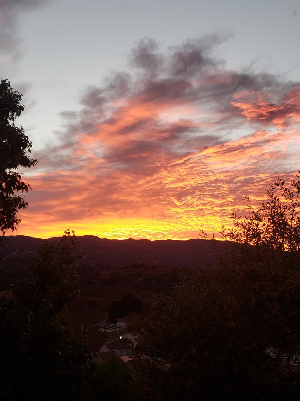 20201226_170229.jpg