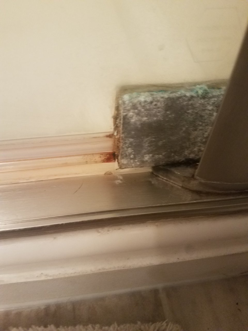 20201227_092933.jpg