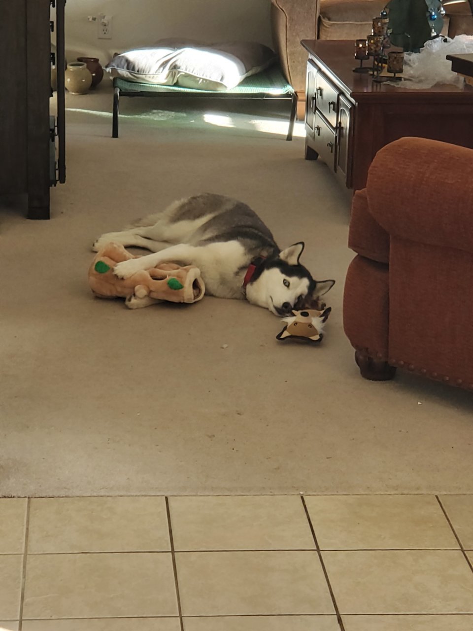 20201227_094837.jpg