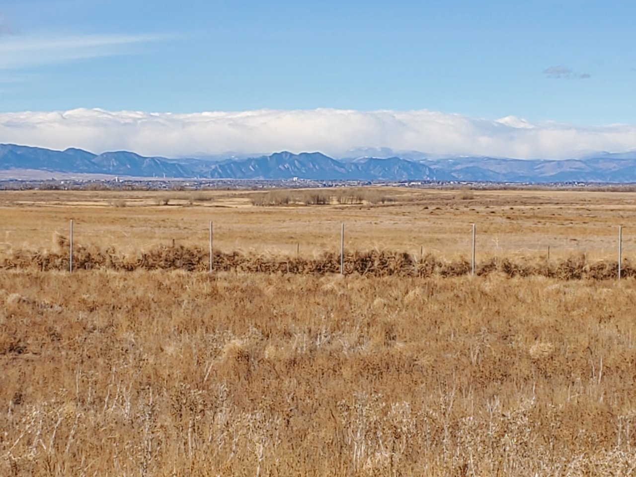 20201227_121529.jpg