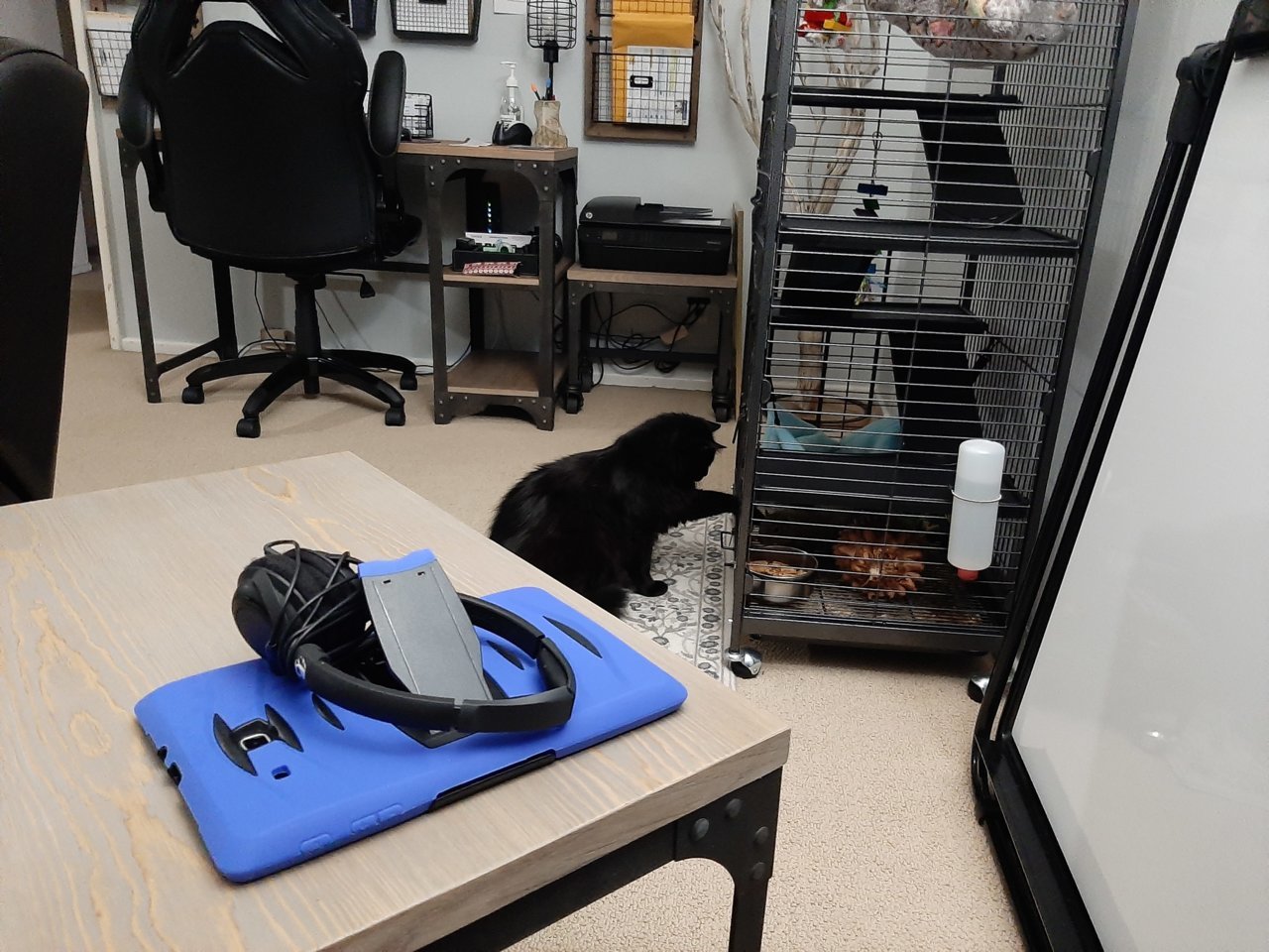 20201227_215829.jpg