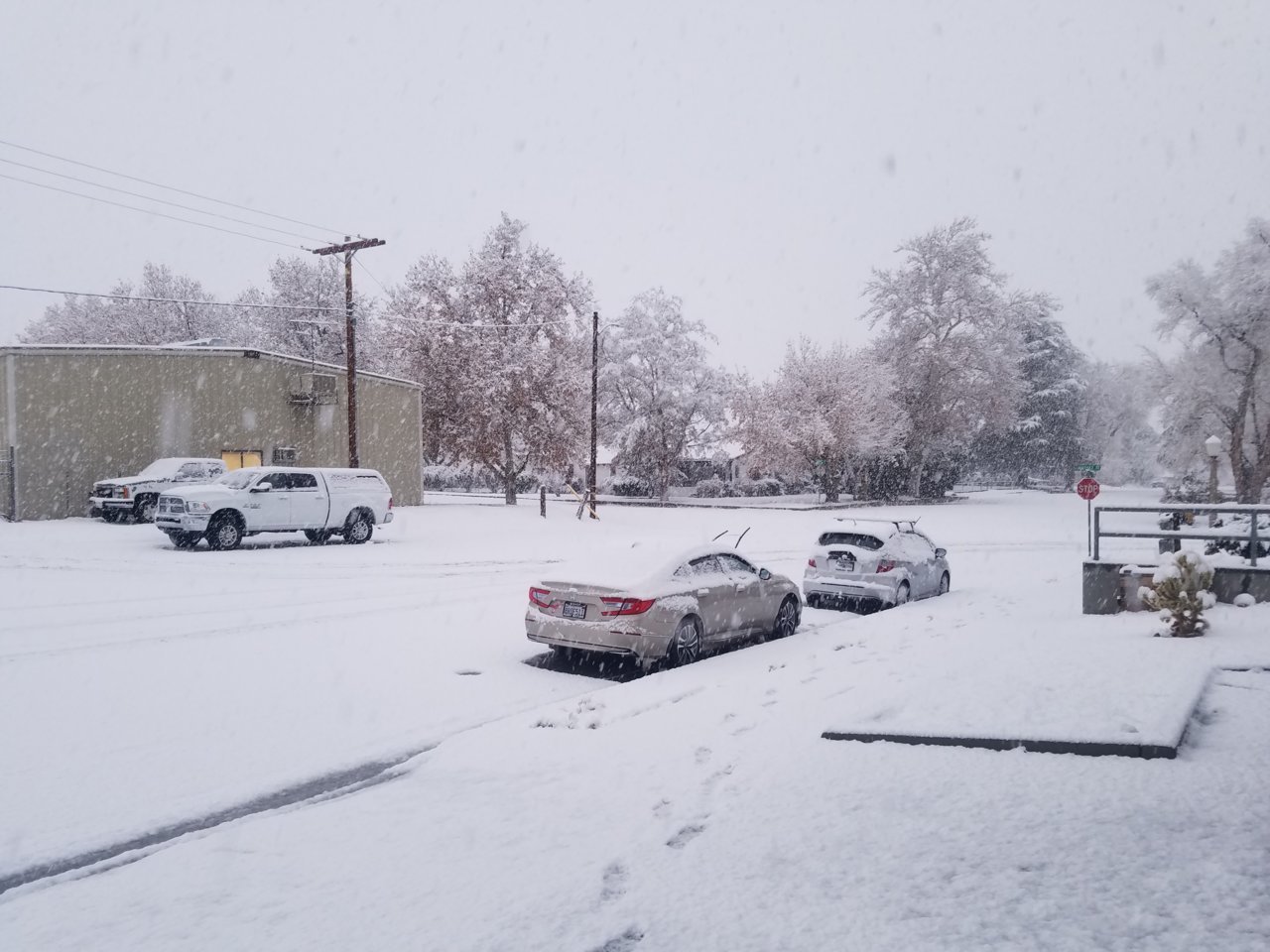 20201228_071657.jpg