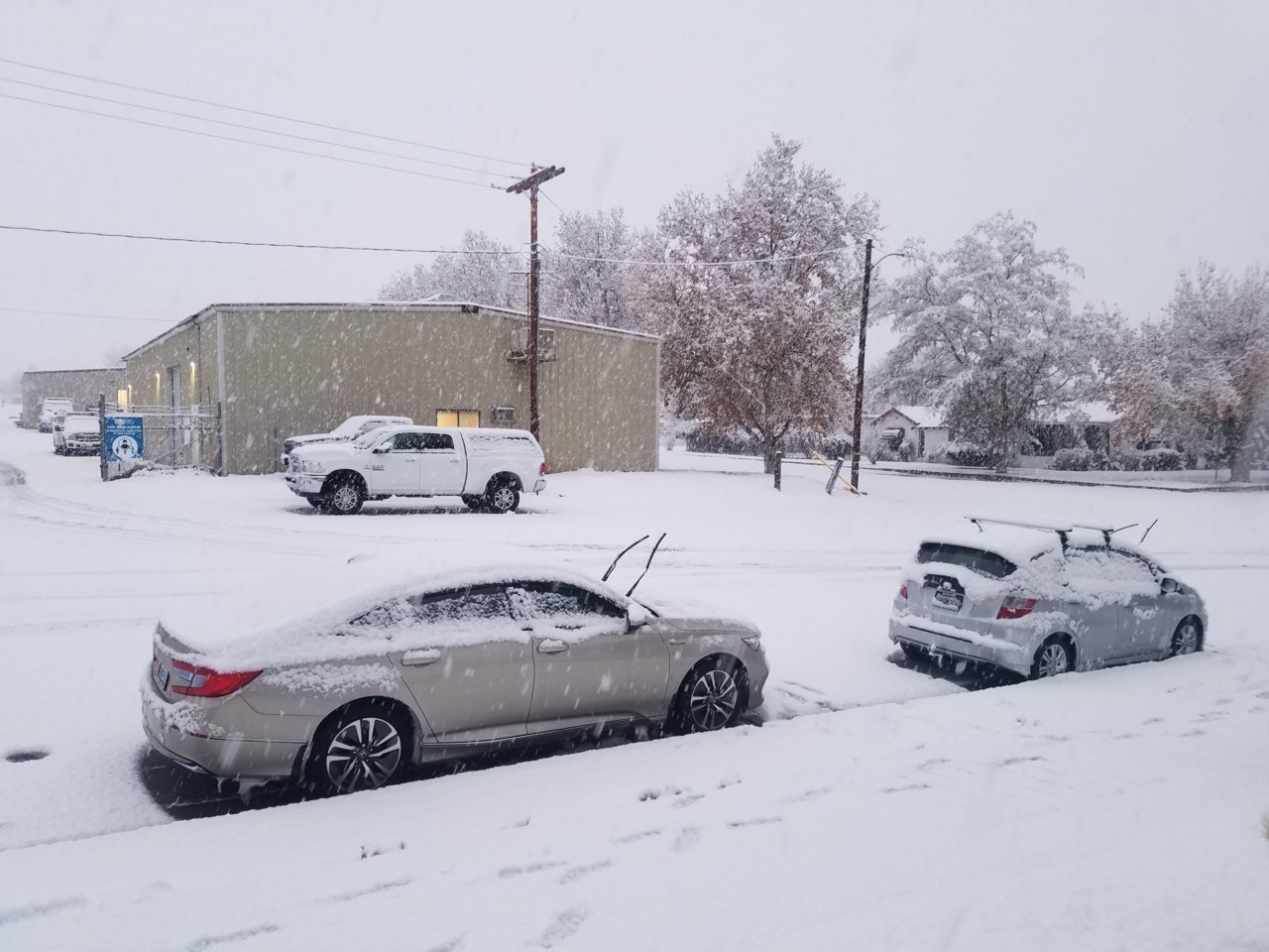 20201228_071738.jpg
