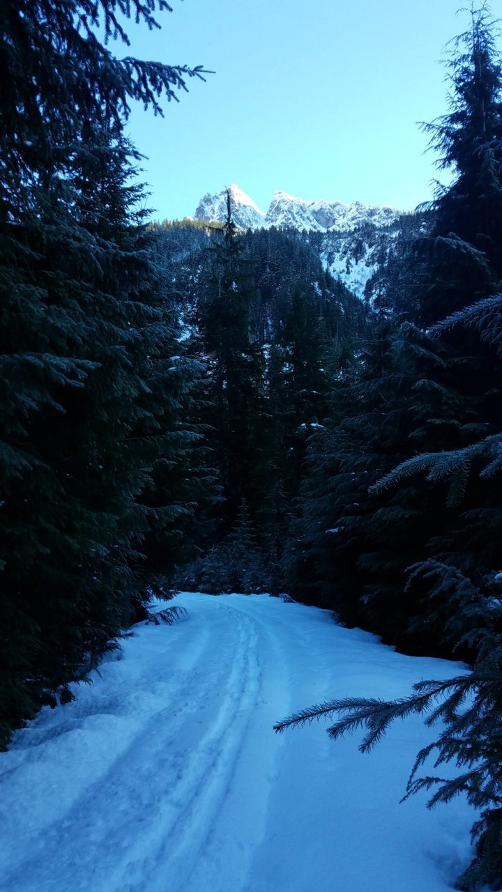 20201228_125746.jpg