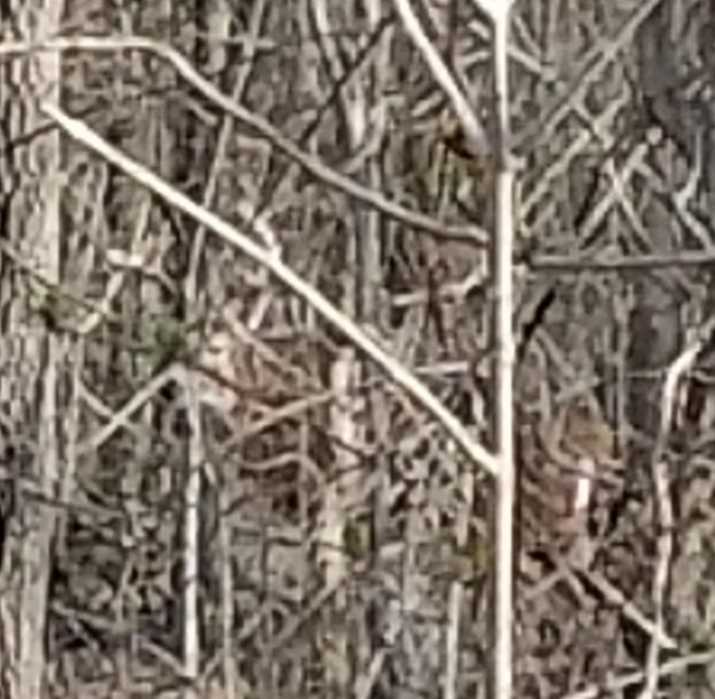 20201228_132008.jpg