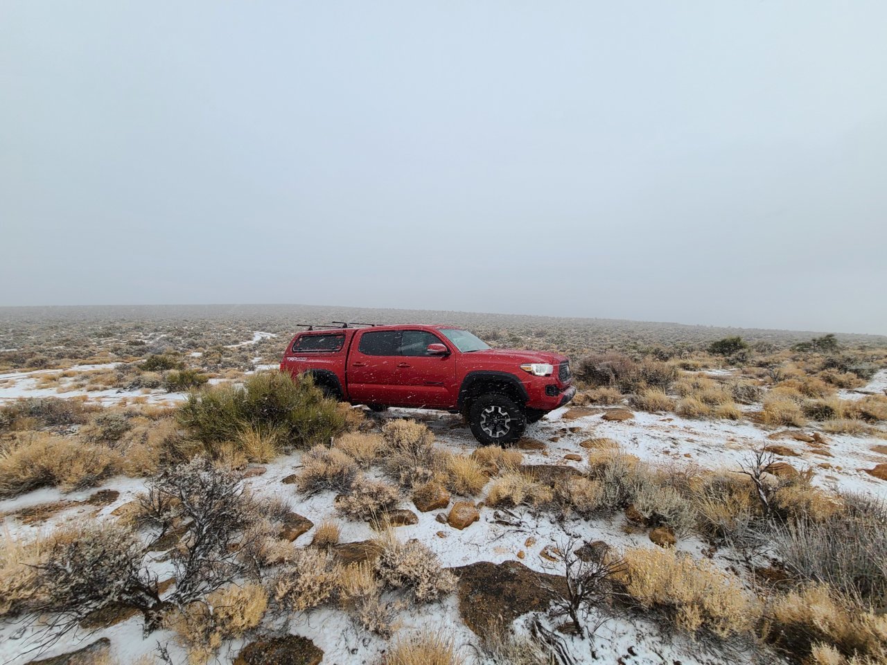 20201228_140249.jpg
