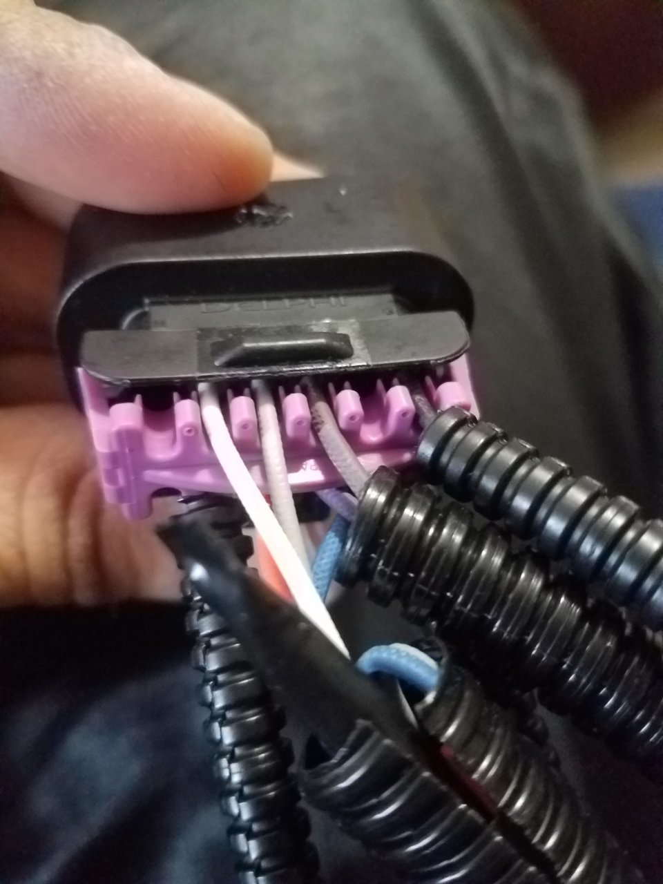 20201228_141202.jpg