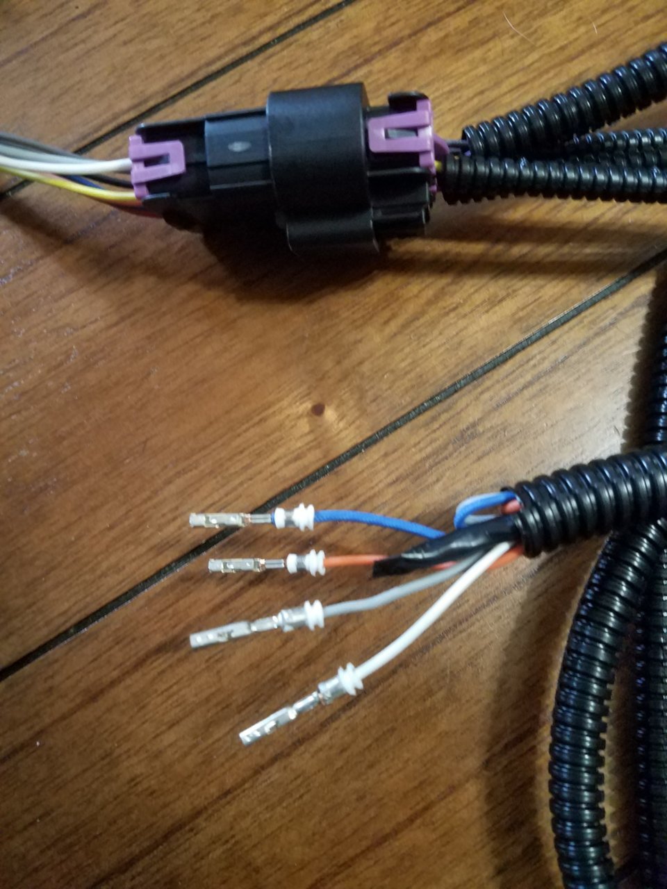 20201228_141609.jpg