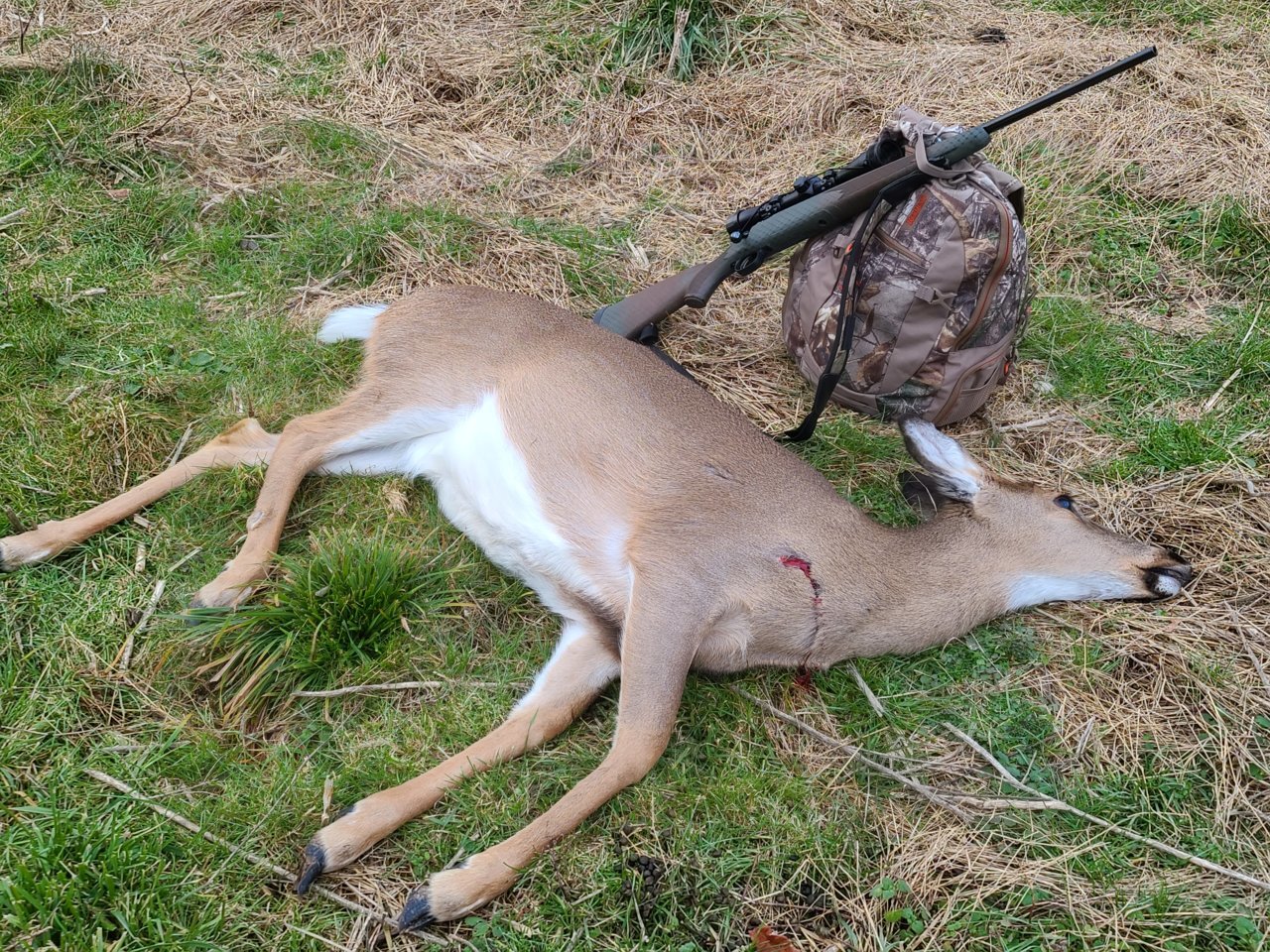 20201228_155922.jpg