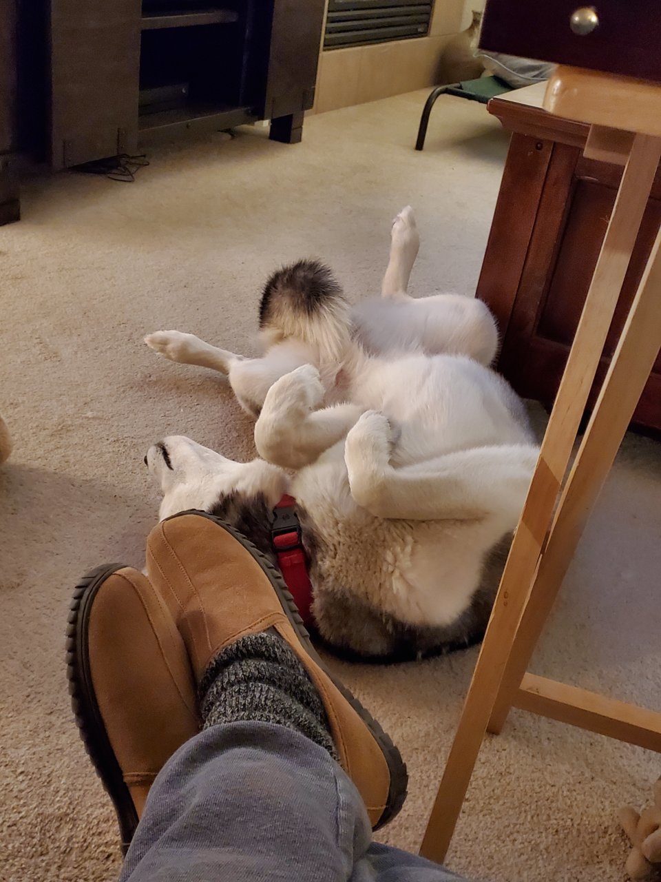 20201228_194110.jpg