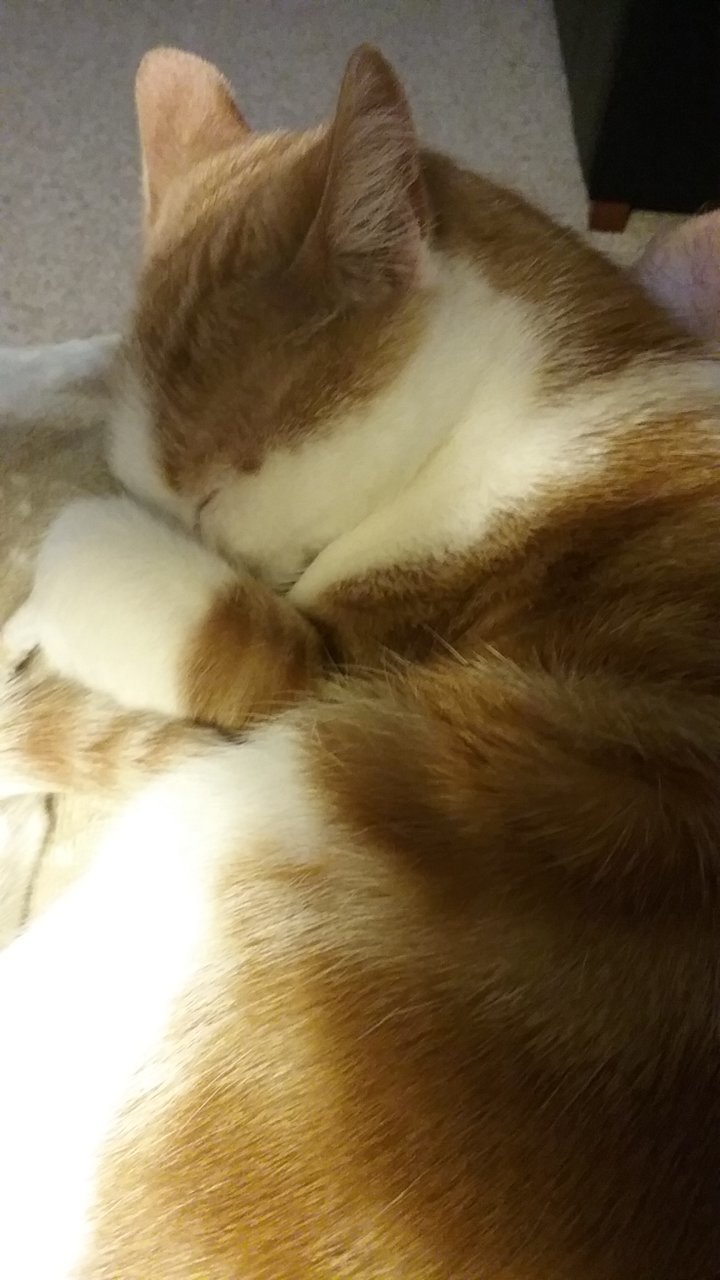 20201228_224935.jpg