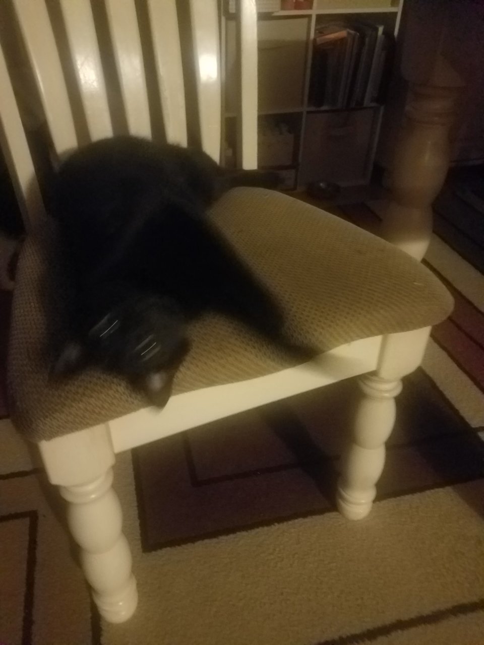20201229_052223.jpg