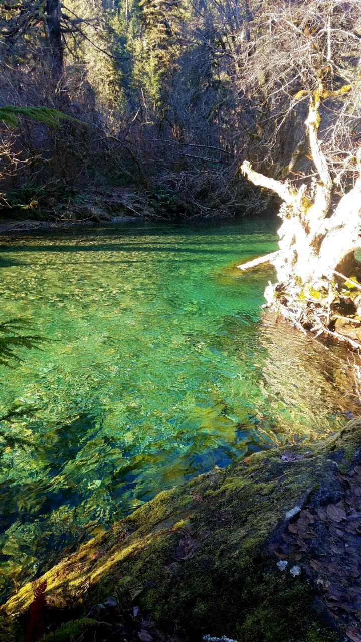 20201229_071117.jpg