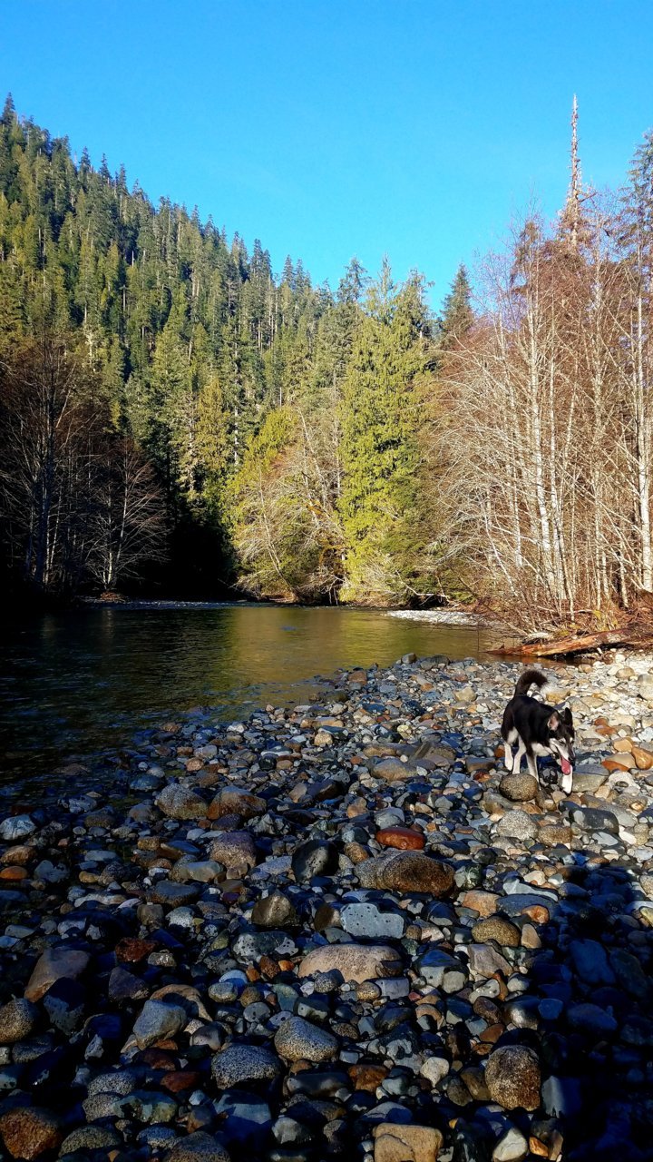 20201229_071148.jpg