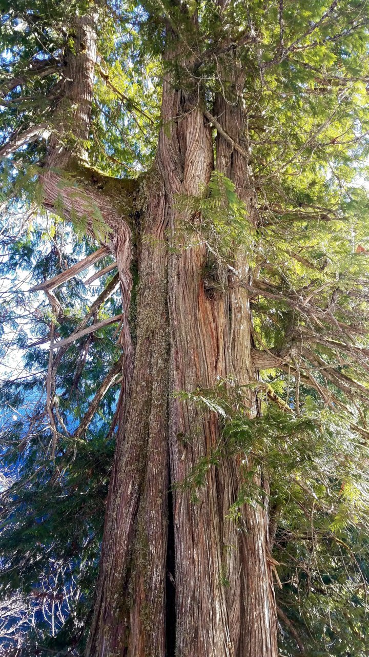 20201229_071243.jpg