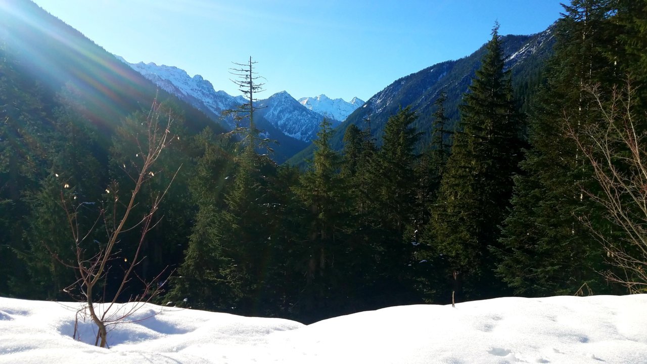 20201229_071336.jpg