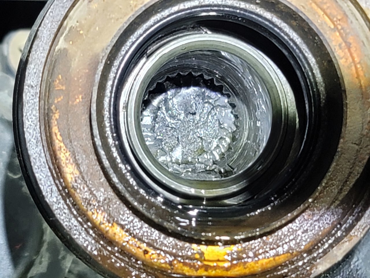20201229_191650.jpg