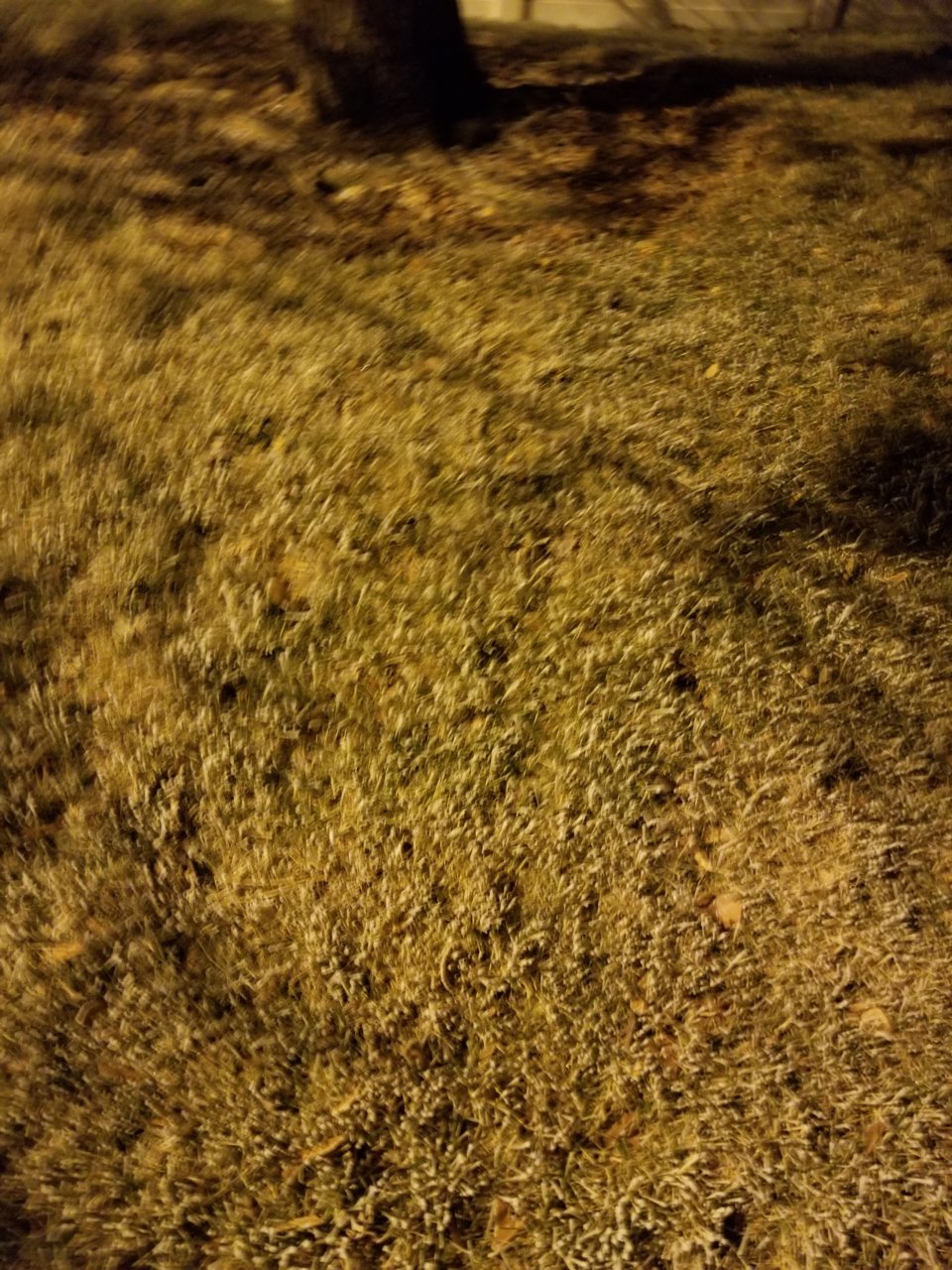 20201229_211015.jpg