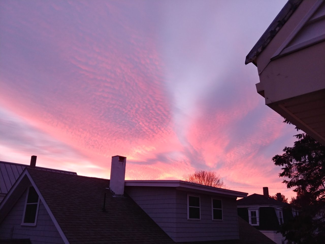 20201230_070116_HDR.jpg