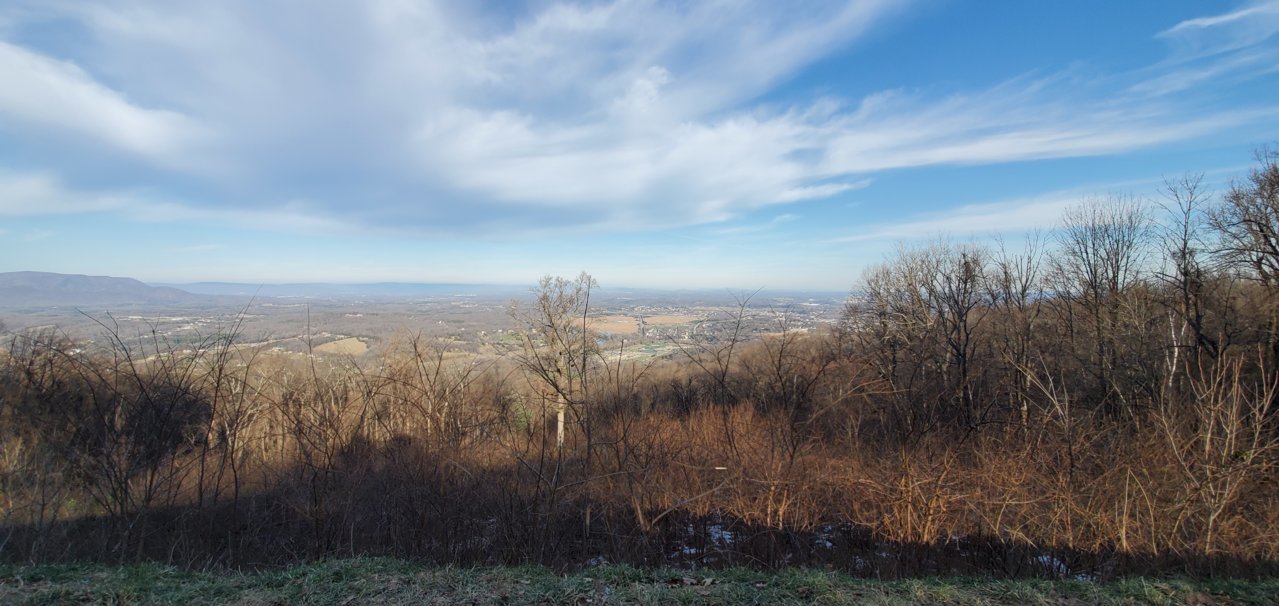 20201230_094551.jpg