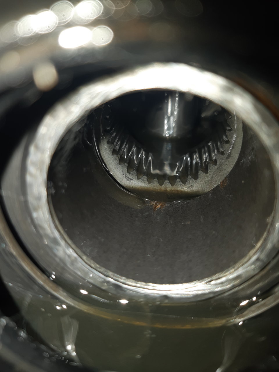 20201230_121946.jpg