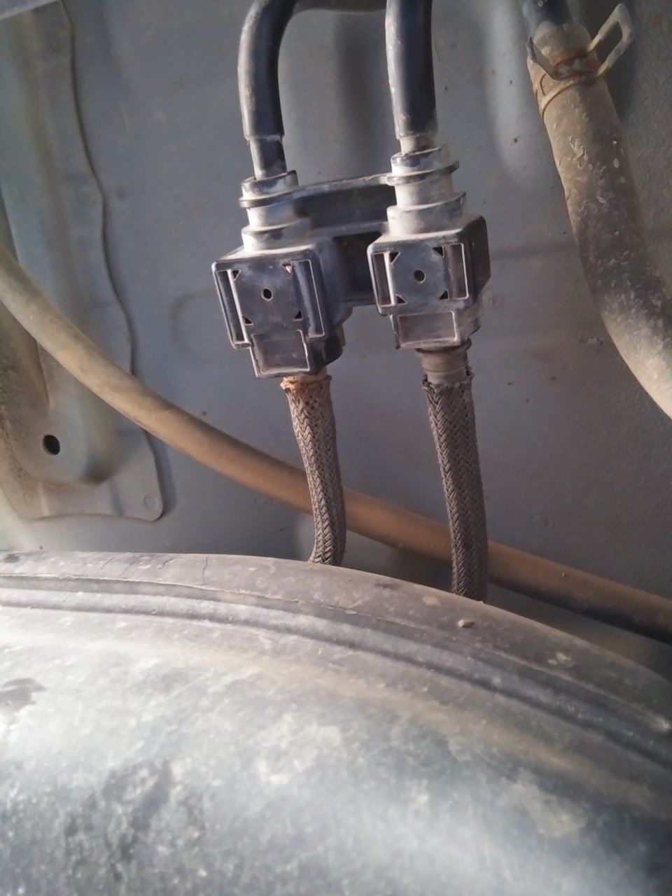 20201230_135718.jpg