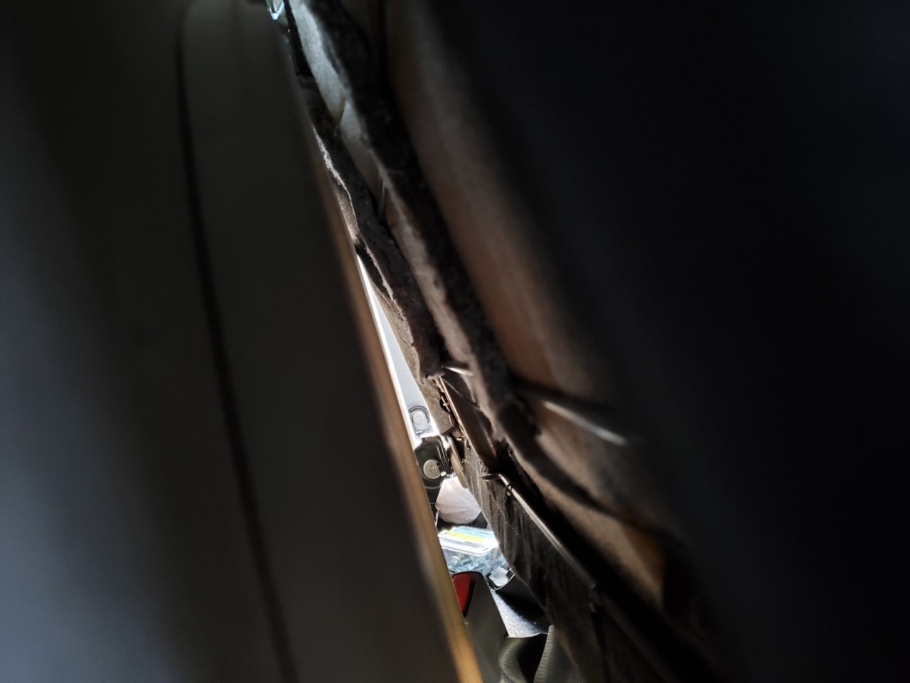 20201230_164440.jpg