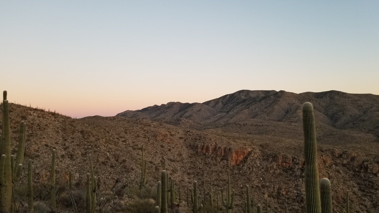 20201230_172919.jpg