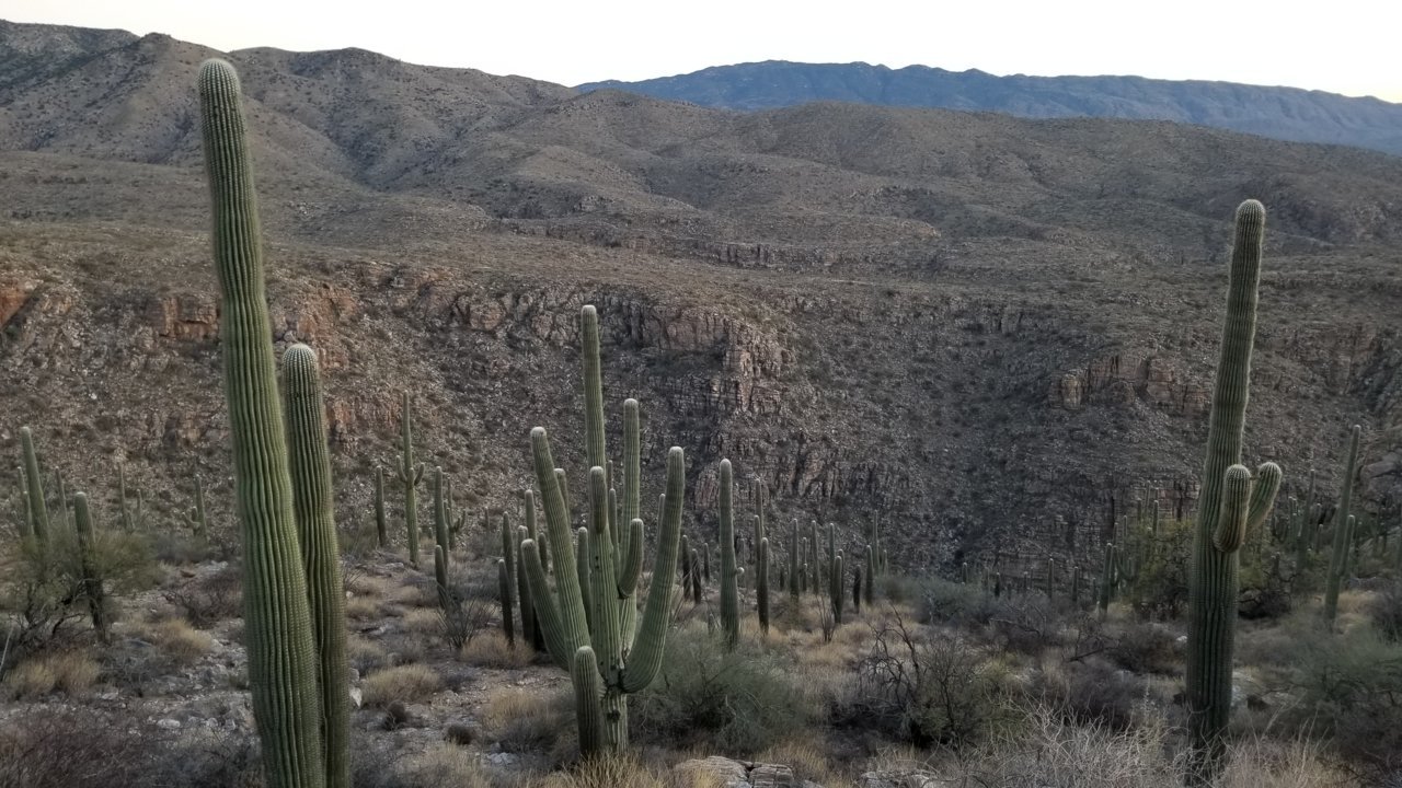 20201230_172937.jpg