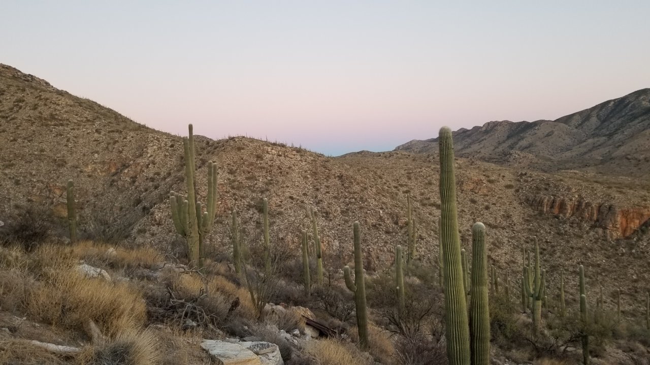 20201230_173510.jpg