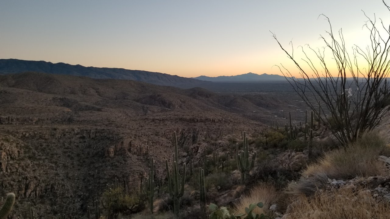 20201230_173522.jpg