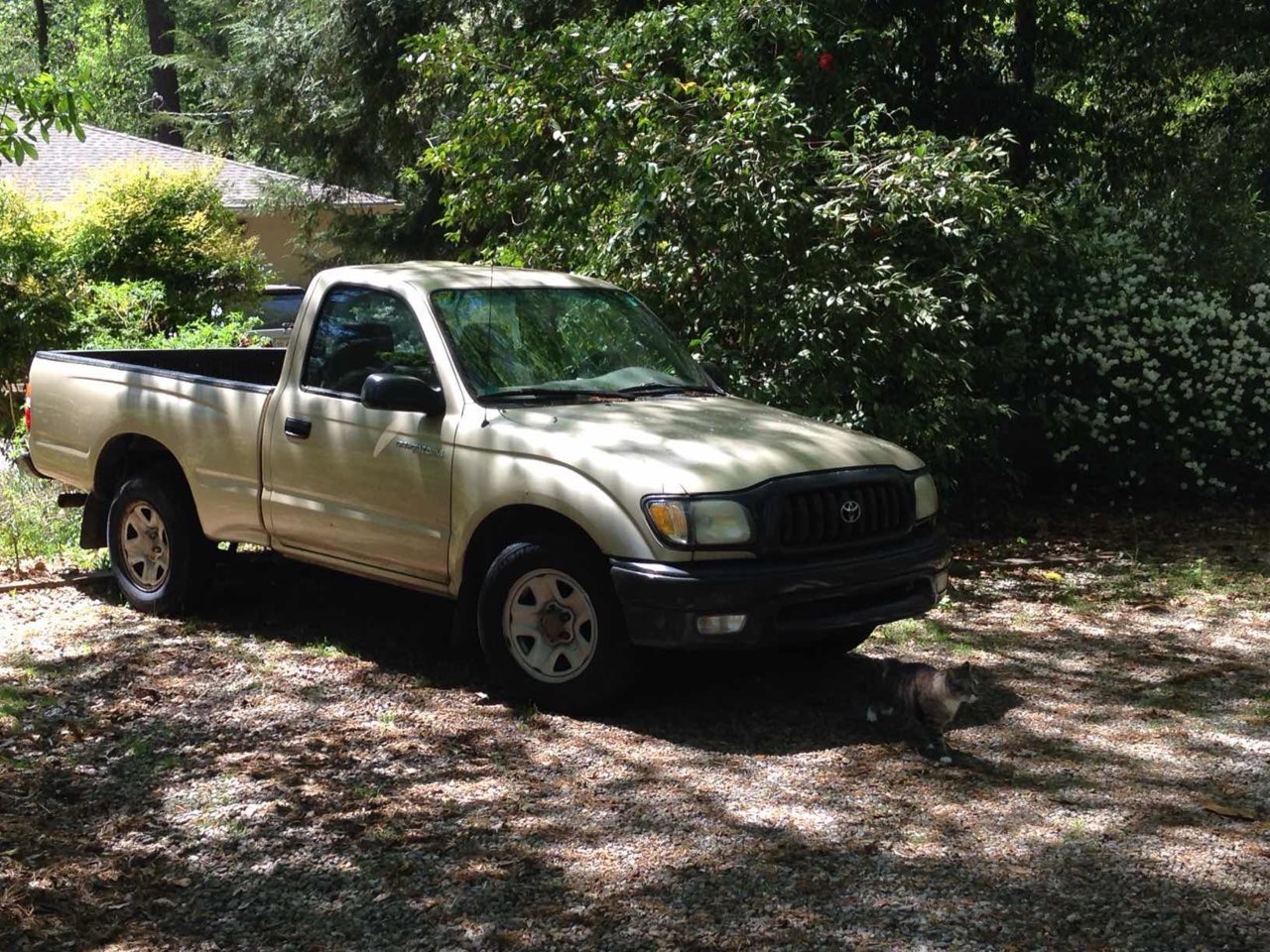 Post Your 1st Gen REGULAR CAB Tacoma | Page 37 | Tacoma World