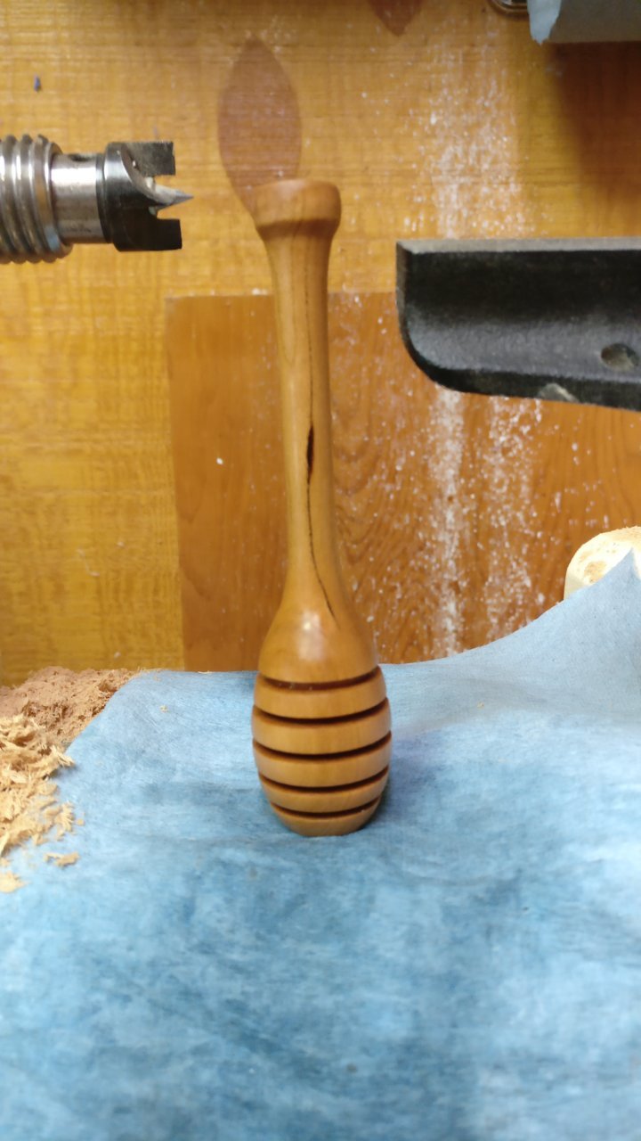 2021-05-08 Dipper 0005.jpg