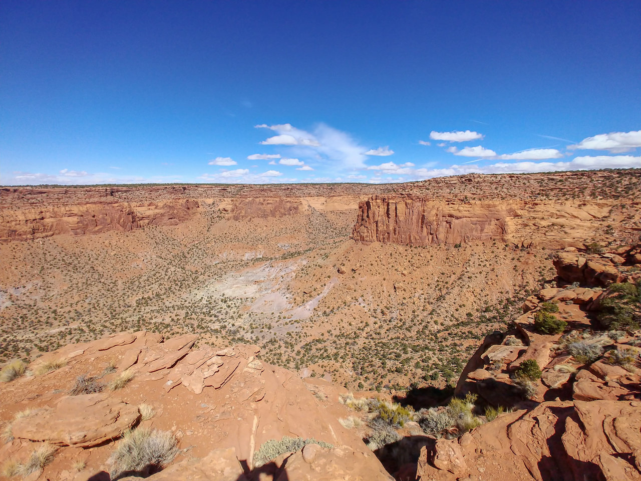 2021-06-17_12-49-53.jpg