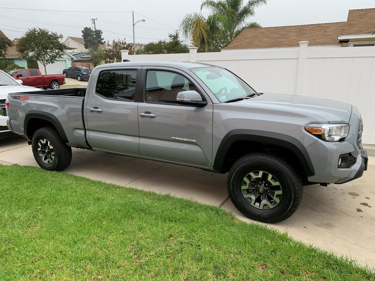 2021 Taco.jpg