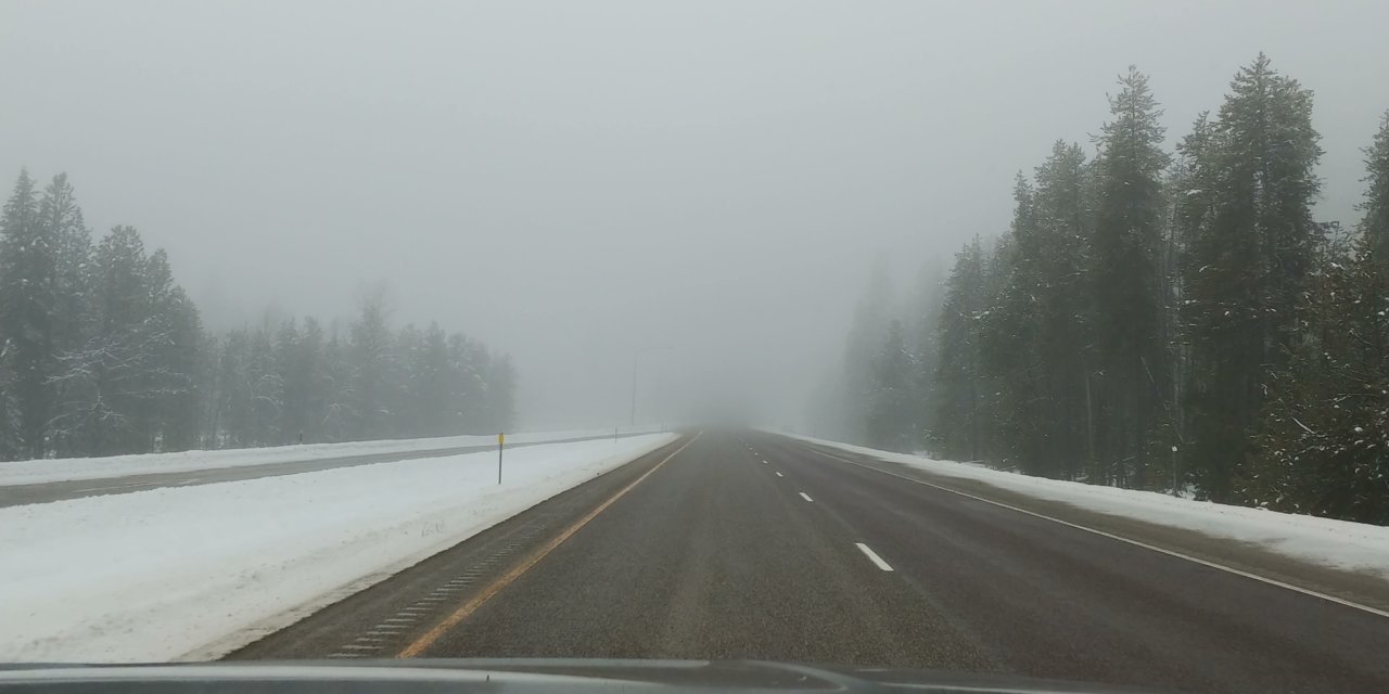 20210101_105056.jpg