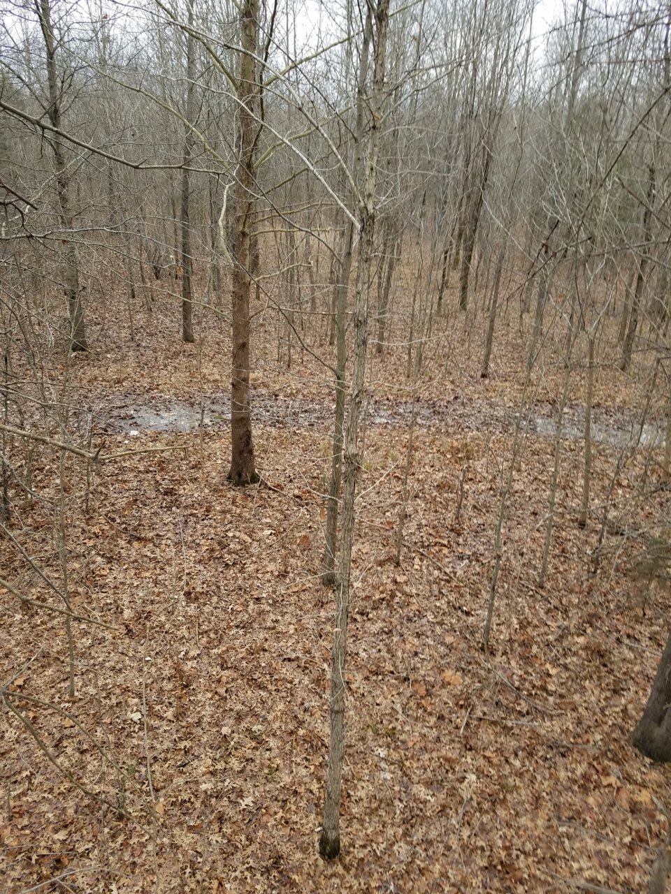 20210102_144142.jpg