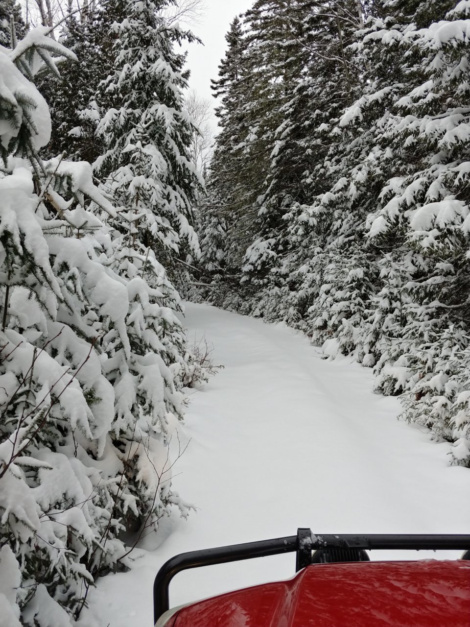 20210103_110541_HDR.jpg