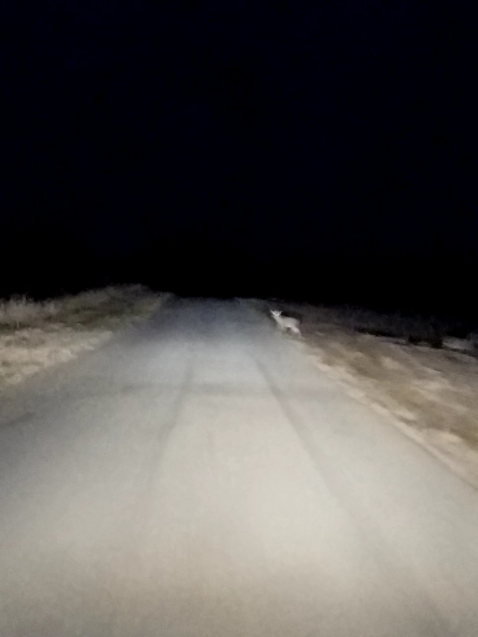 20210104_181916.jpg