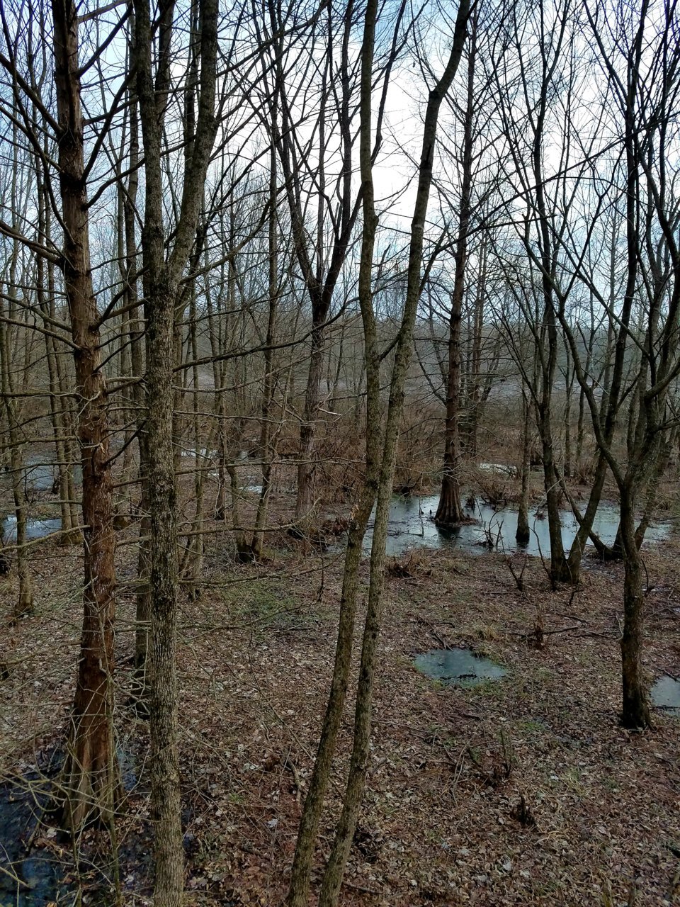 20210106_092600.jpg