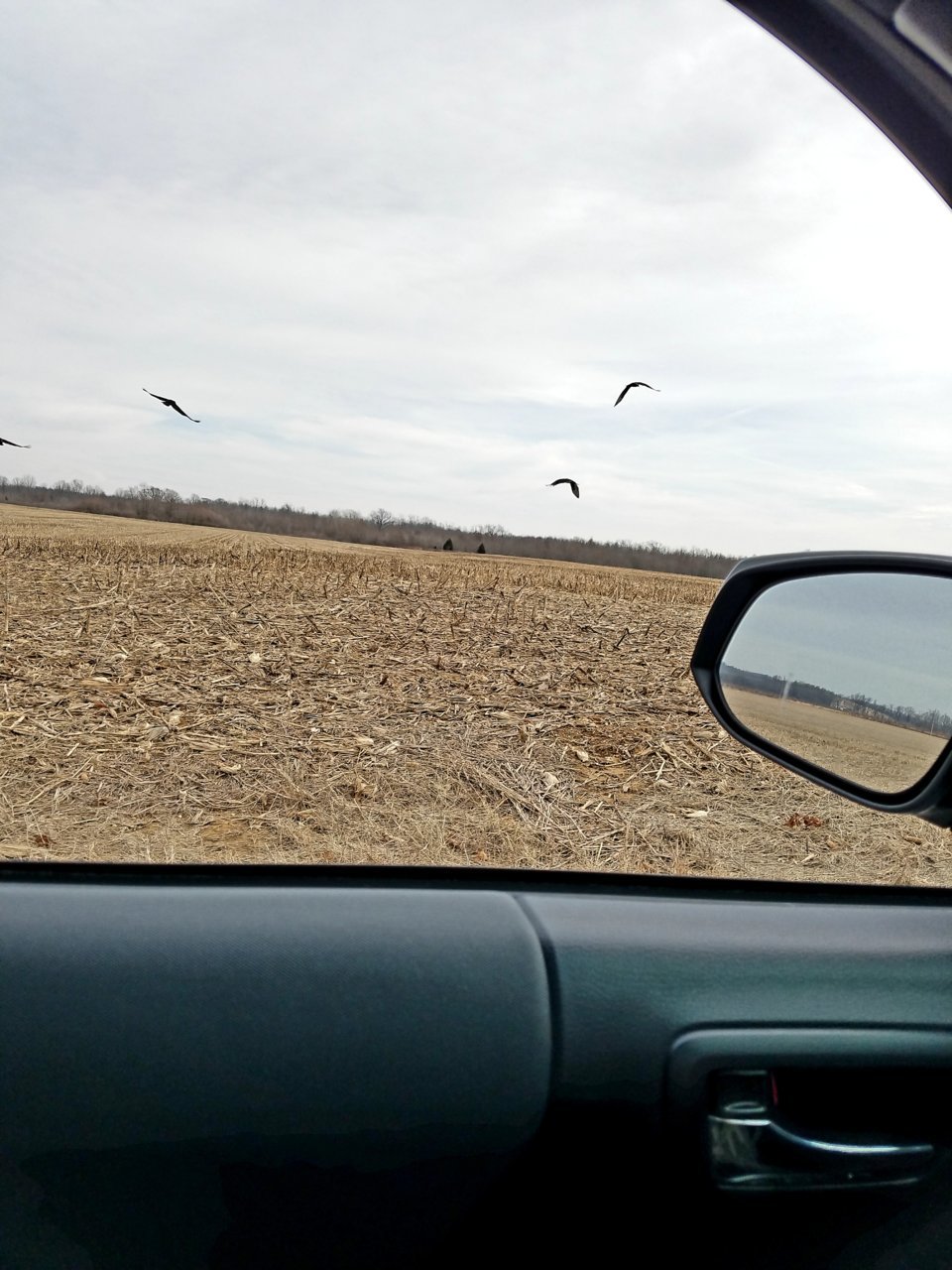 20210106_123815.jpg