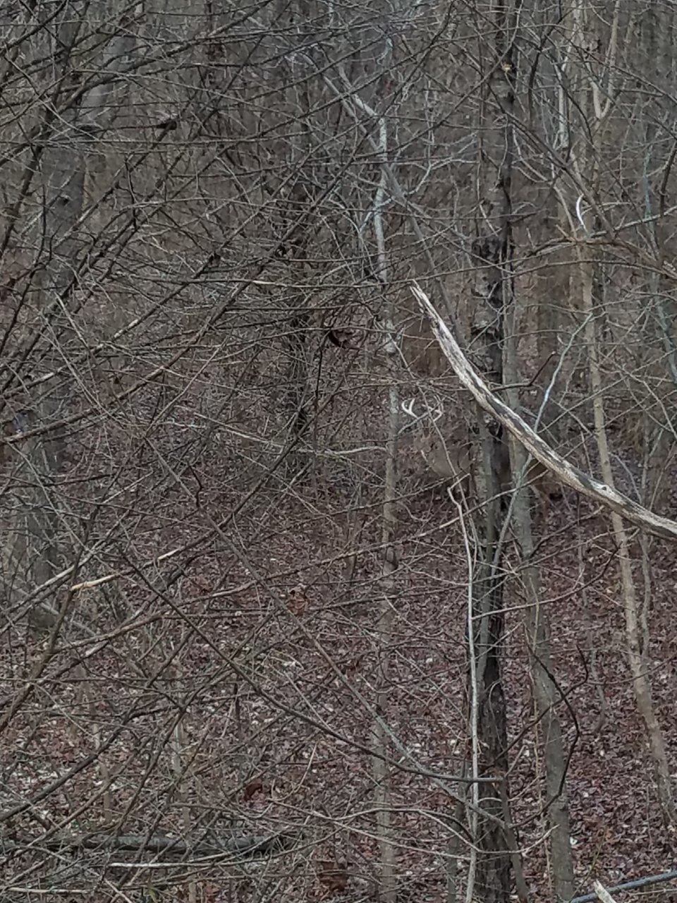 20210106_160154.jpg