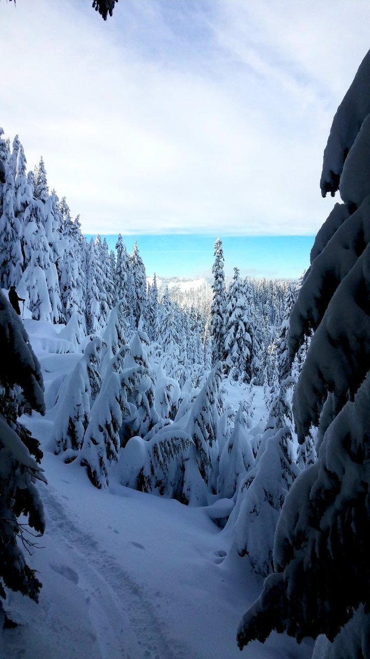20210106_162314.jpg