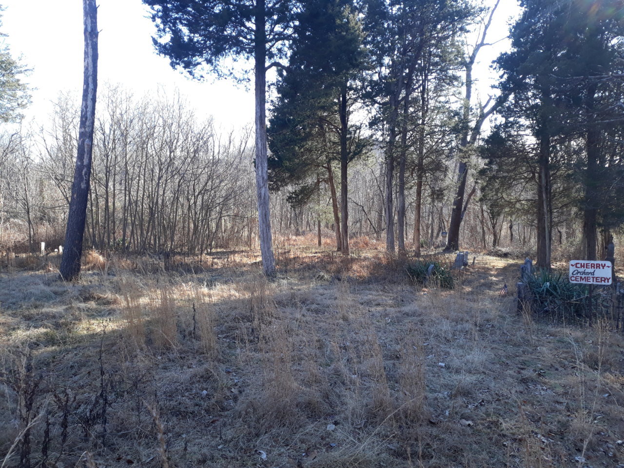 20210107_141936.jpg